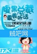 《天才宝宝上阵之腹黑总裁乖乖听话》全集