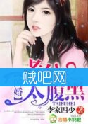 《闪婚，老公太腹黑！》全集