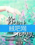 《你走过，我的繁花尽头》全集