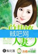 《豪门陷阱，总裁撩人妻》全集