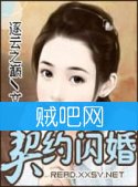 《契约闪婚》全集