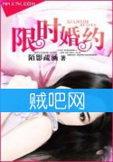 《限时婚约》全集