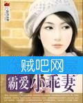 《冷酷总裁霸爱小乖妻》全集