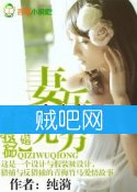 《骗婚，妻乐无穷》全集