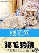 《猫飞狗跳》[娱乐圈故事]全集