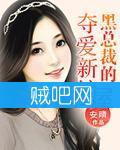 《黑总裁的夺爱新娘》全集