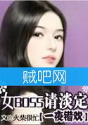 《一夜错欢之女BOSS请淡定》全集