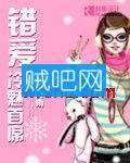 《错爱冷魅首席》全集