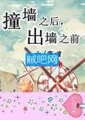 《撞墙之后，出墙之前》全集