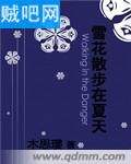 《雪花散步在夏天》全集