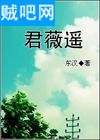 《错过·君薇遥》全集