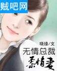 《总裁的温柔乖乖妻》全集