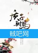 《质子驸马》全集