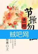 《丞相，节操勿捡》全集