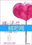 《重生之锦上添花》全集