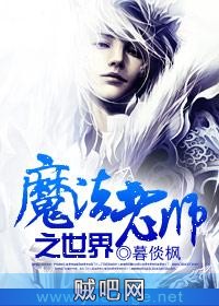 《魔法老师之世界》txt全集