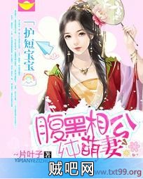 《护短宝宝：腹黑相公纯萌妻》txt全集