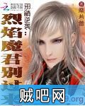 《邪萌逆袭：烈焰魔君别过来》txt全集