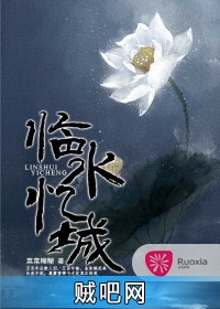 《临水忆城》txt全集