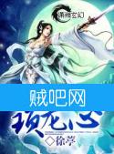 《魔君溺宠之锁龙心》全集