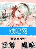 《鬼才弃女之至尊魔瞳》全集