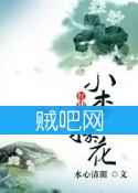 《小李探花》全集