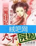 《一等狂妃倾天下》全集