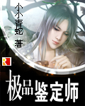 《极品鉴定师》txt全本精校版